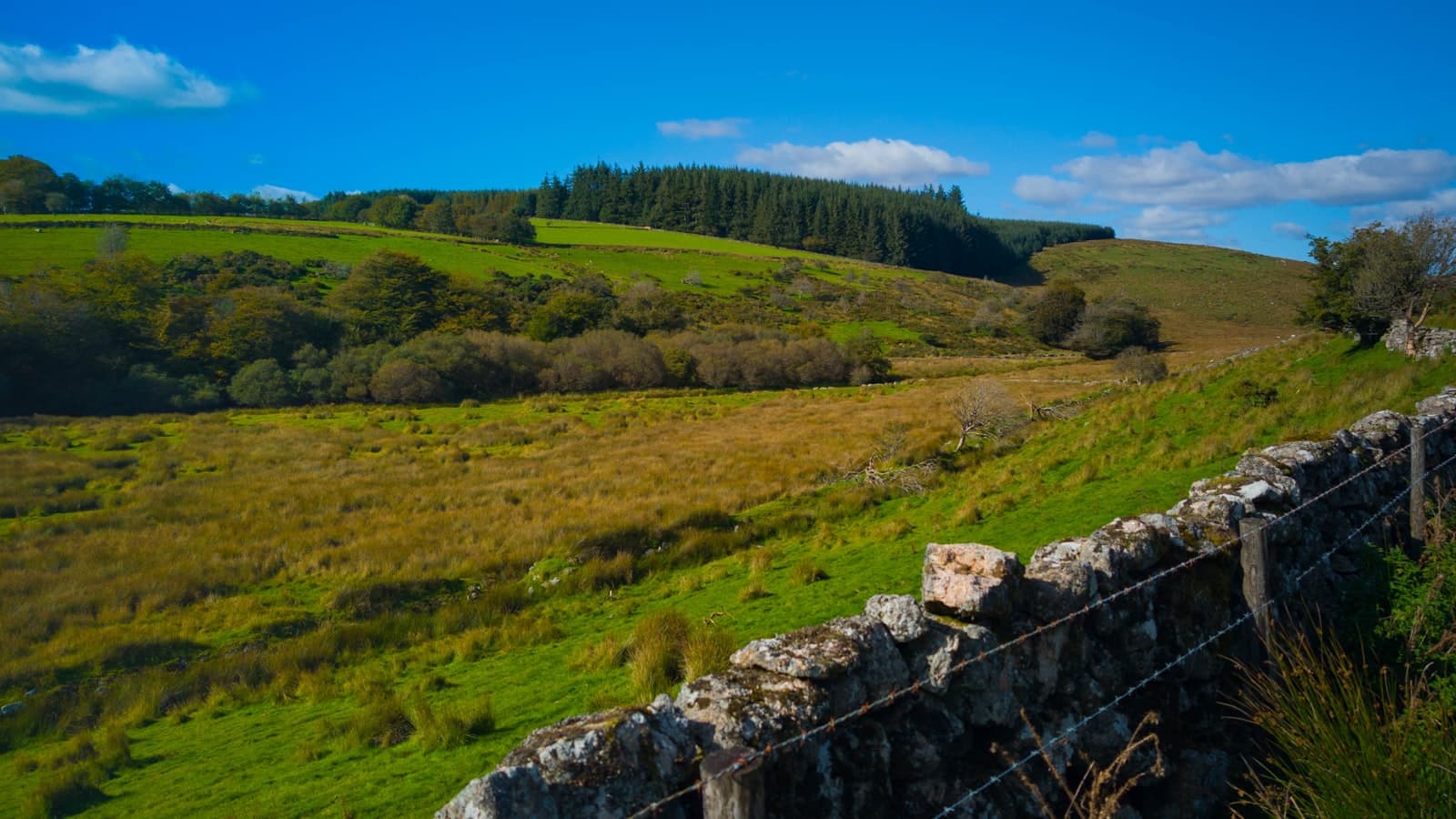 Alcohol-Free Days Out in the UK — 15 Brilliant Sober-Friendly Ideas