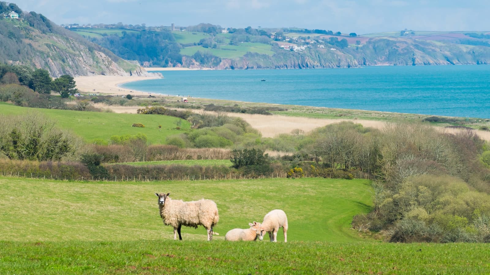 Best Days Out in Devon — 12 Places Worth the Drive