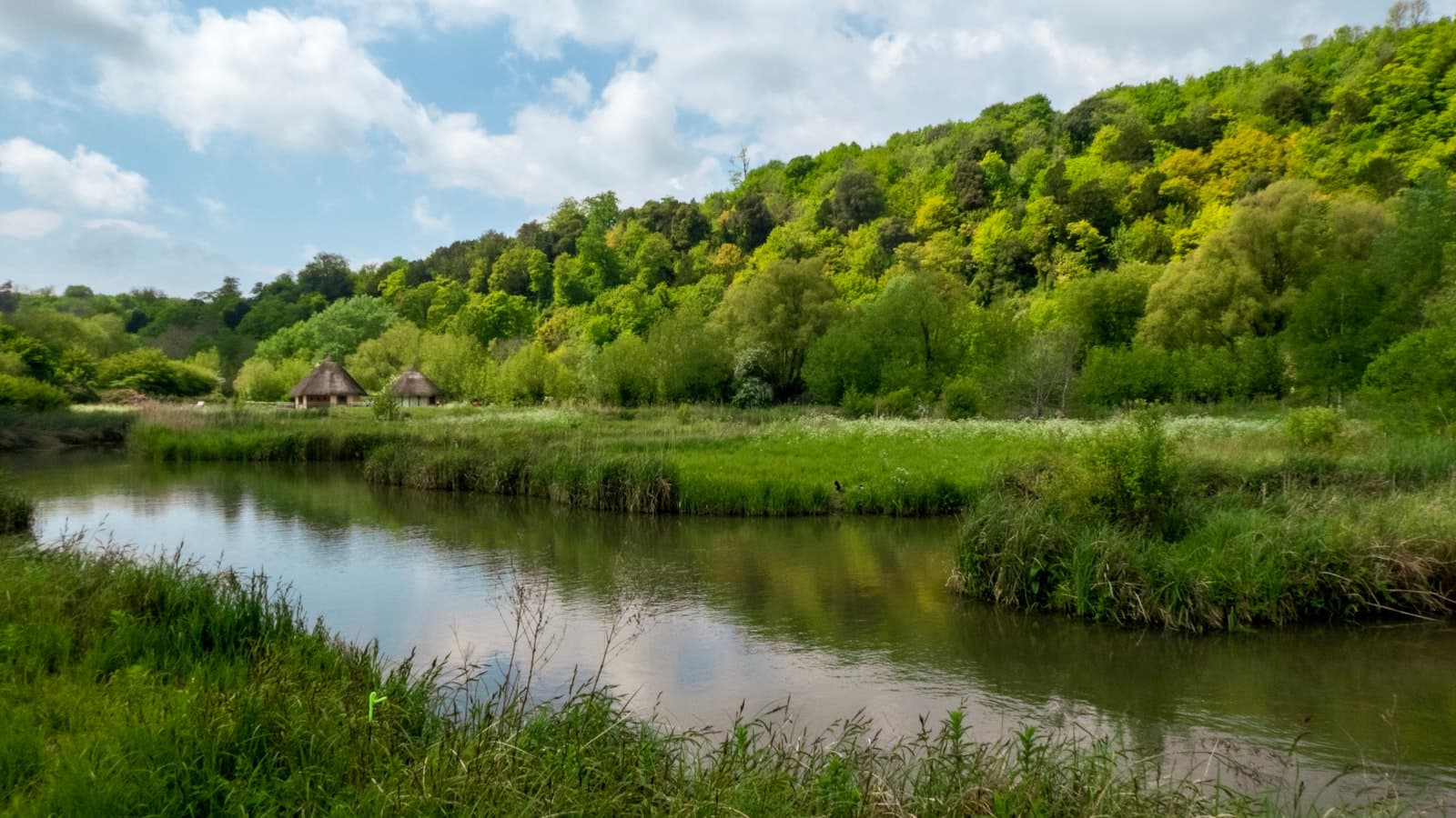 Best Days Out for Nature Lovers in the UK — 17 Wild Places