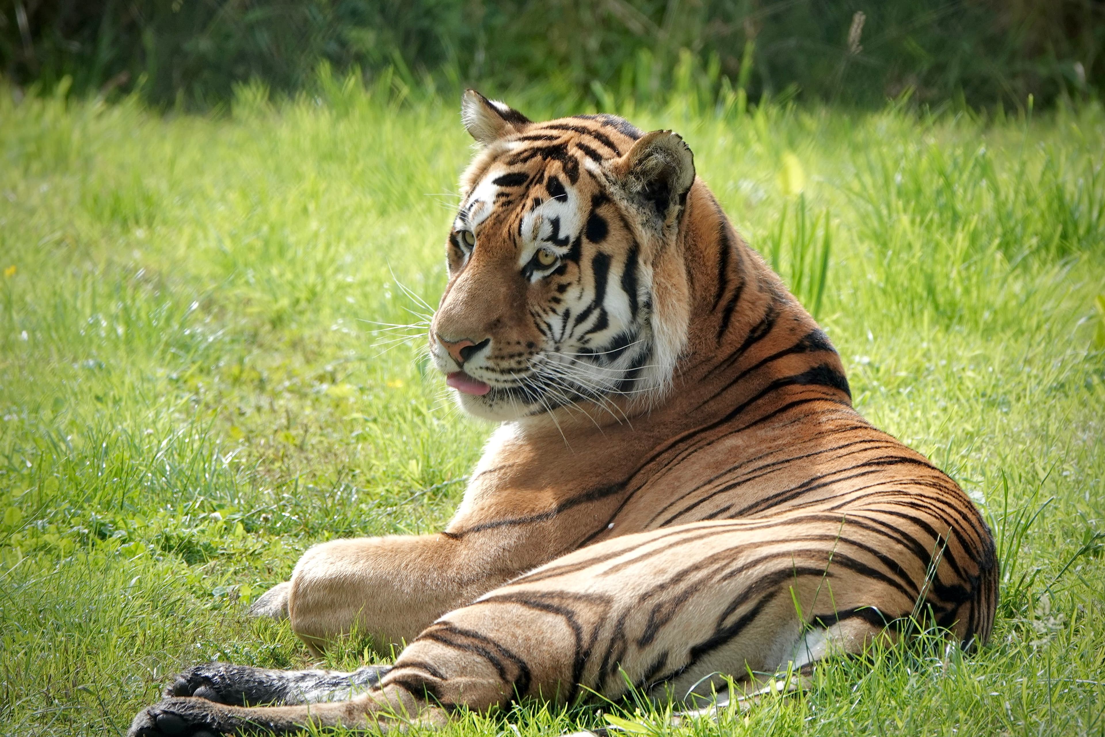 Knowsley Safari Park