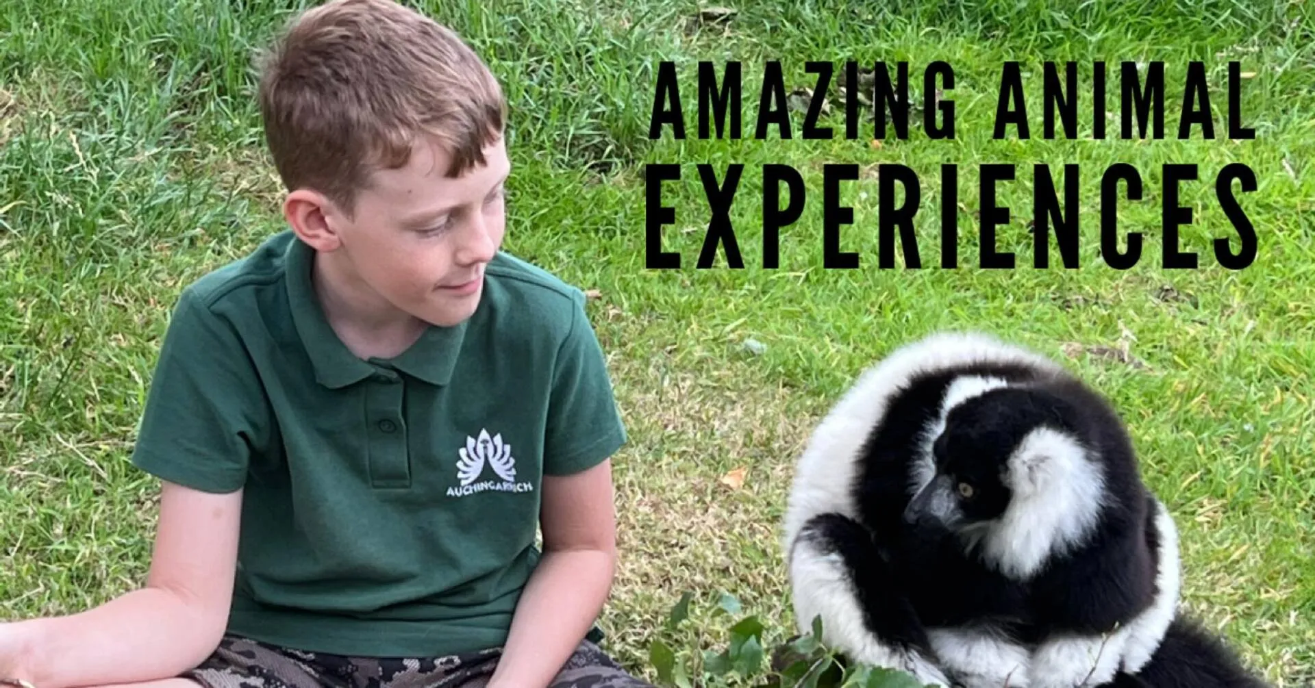 Auchingarrich Wildlife Park