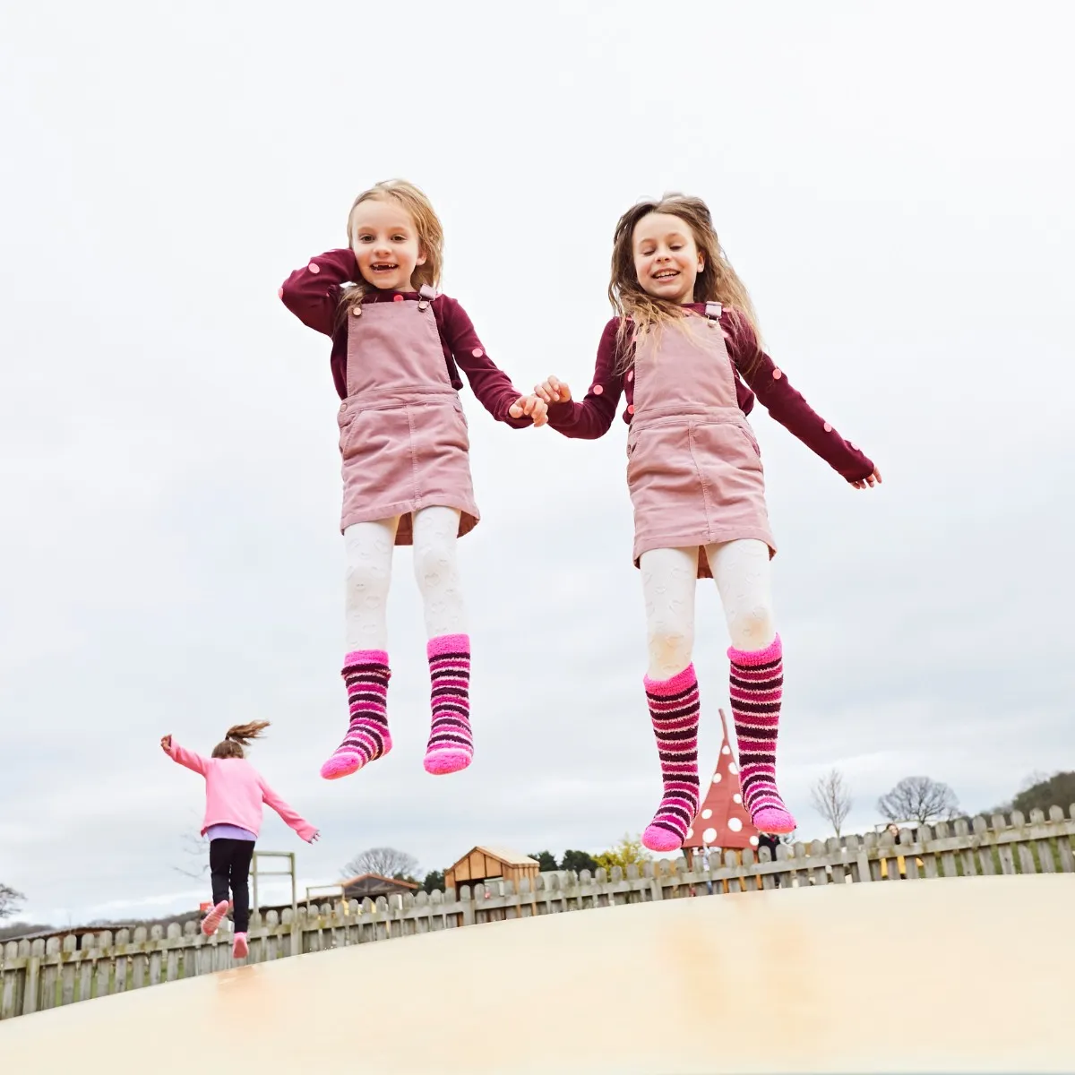 Piglets Adventure Farm